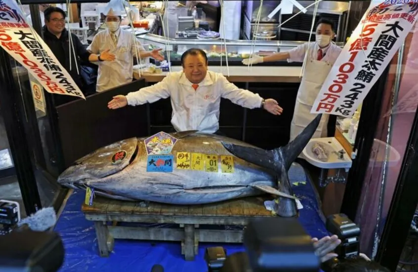 سعر-قياسي-تونة-بـ325-مليون-دولار-في-أول-مزاد-ياباني.webp