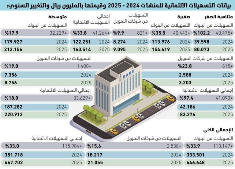 البنوك-تضاعف-تمويل-المنشآت-متناهية-الصغر-بزيادة-102.jpg