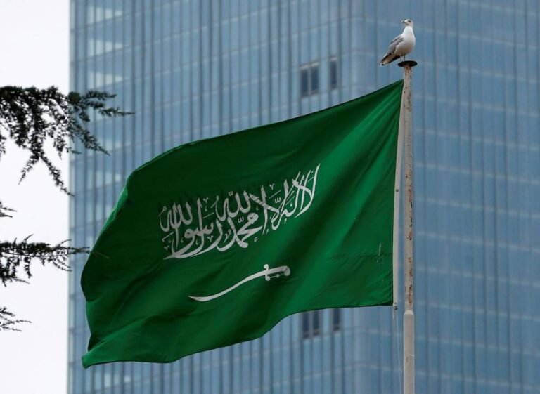 مجلس-الشؤون-الاقتصادية-لوجستياتنا-قادرة-على-التكيف.jpg