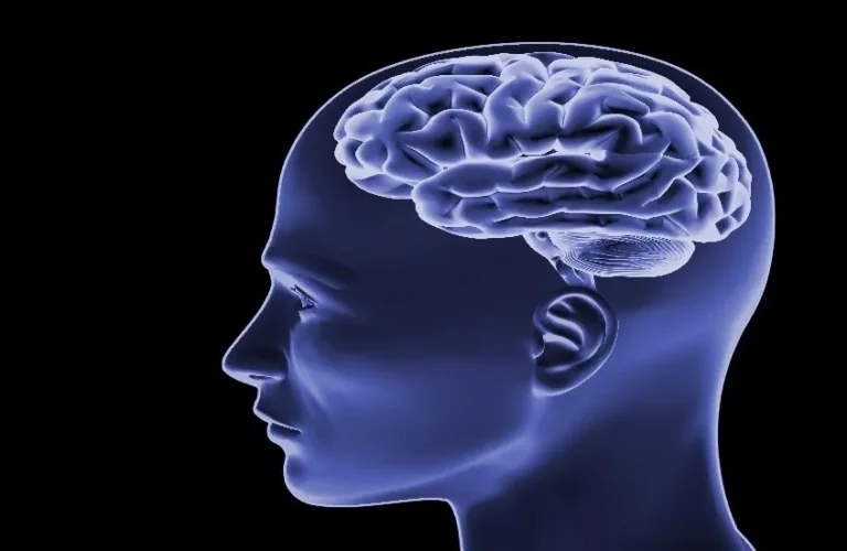 الدماغ-مصنع-لا-يتوقف-عالمة-تشرح-لماذا-يستحيل-فهمه-بالكامل.webp